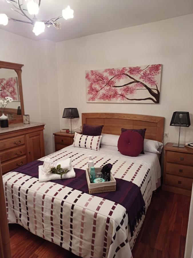 סנטיאגו דה קומפוסטלה Apartamento Penedo, Camino Portugus-Con Plaza De Garaje Gratis מראה חיצוני תמונה